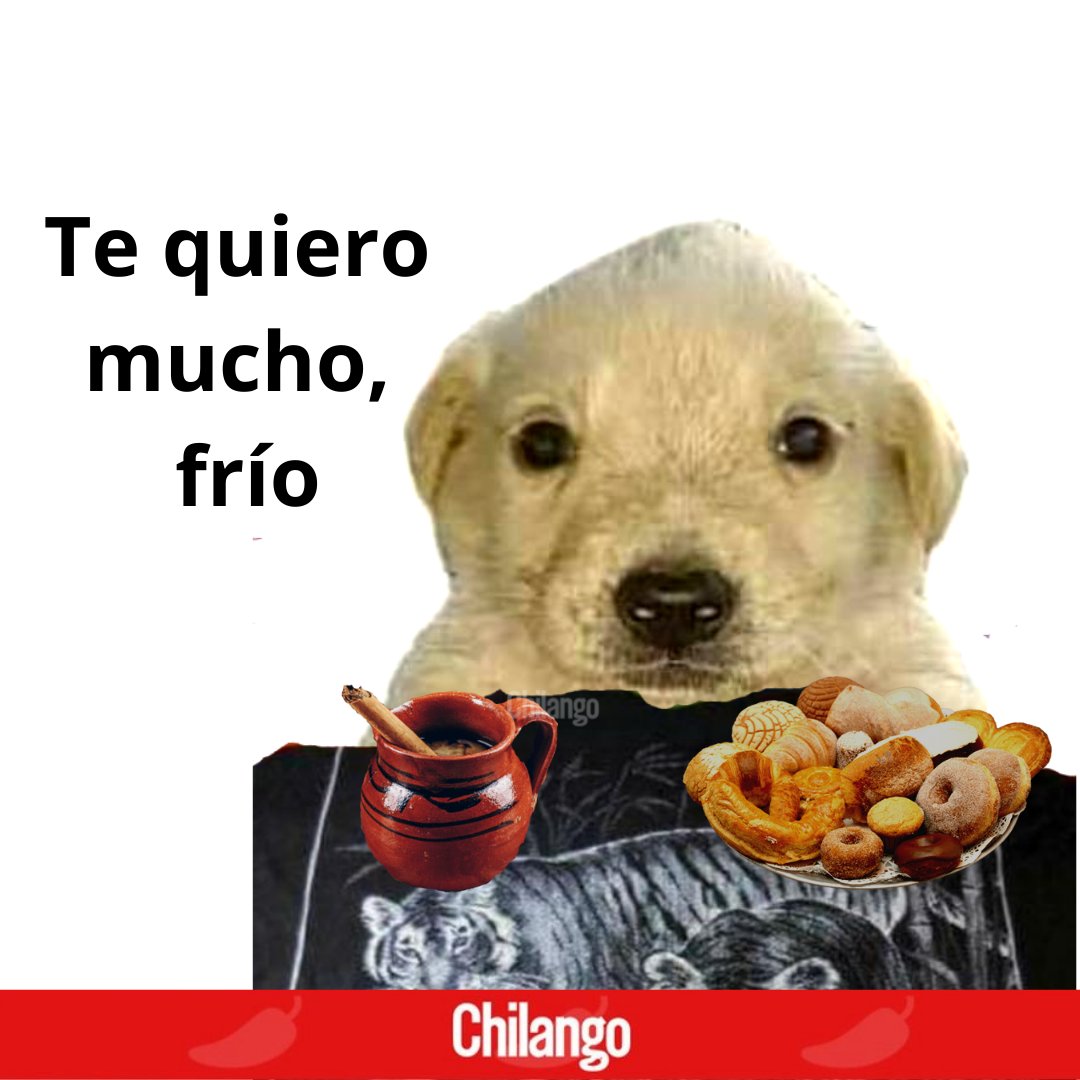 ¿Dónde están los que aman el clima frío? 🙋