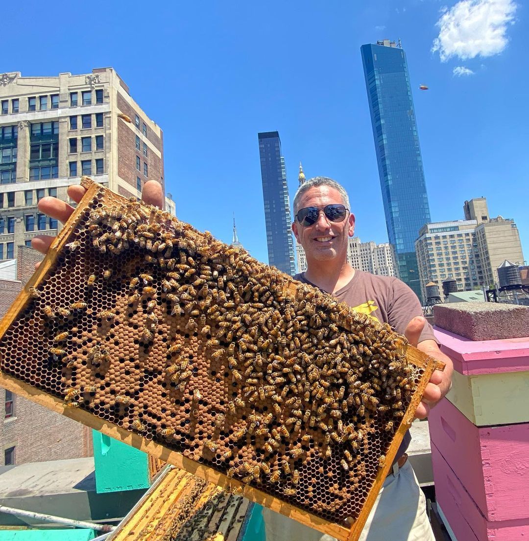 Meet the Beekeeper - <a href="/andrewshoney/">Andrew's Honey</a>

Andrew maintains beehives not only in Connecticut and New York states, but also in all five boroughs of New York City.

Meet Andrew at the NYC Honey Fest Bee Marketplace on Sept 12th at Rockaway Beach. buff.ly/31q45Bz
