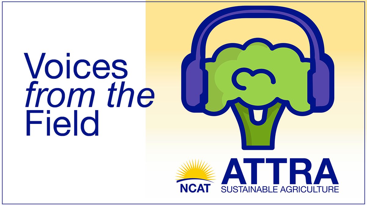 NCAT SIFT farm’s growing season is short and cold – until it isn’t.  NCAT staffers John Wallace and Andrew Coggins on how they worked with, not against, the dry and hot conditions. attra.ncat.org/episode-217-fl…
#sustainableag #growingindrought
