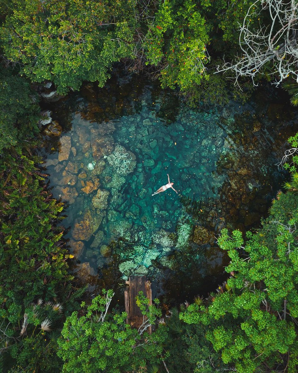 TourTravelsEc's tweet photo. 📍 Cenote Taak Bi Ha

leocavazzana vía Instagram

#TourTravels #YoViajoConTourTravels #AgenciaTourTavels #PromocionesTourTravels https://t.co/fErLoEDIZ0