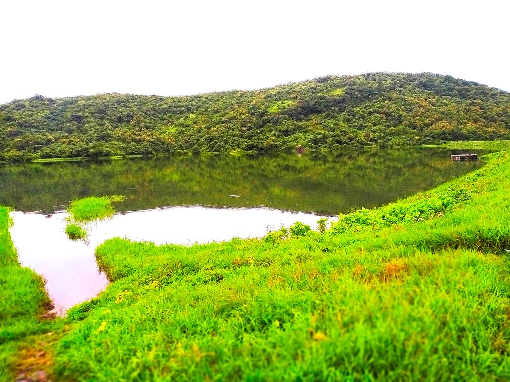 RajanRanjanRR's tweet image. #PanjarTalab #NaigaonEast #Wakipada 
#BeautifulLocation #Hillstation #Naturalbeauty #MumbaiSuburb 
Click by me