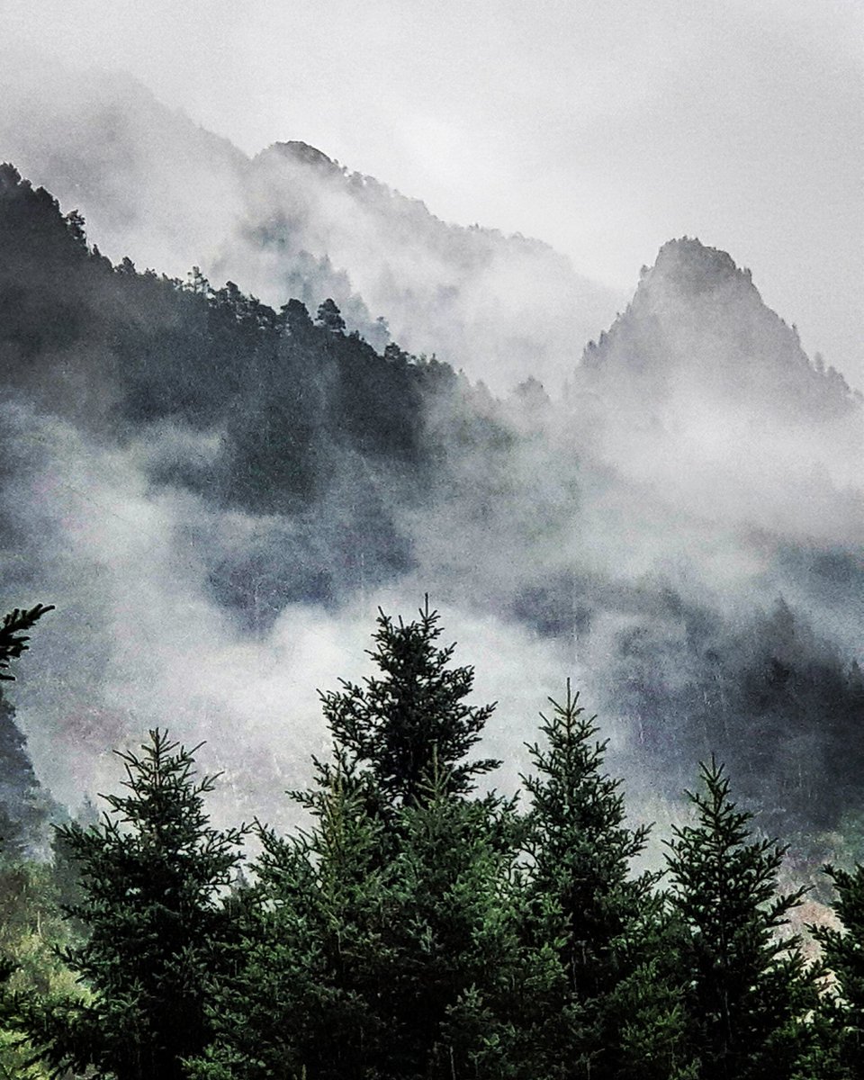 DalenValle's tweet photo. El verano se despide. #FinVerano #lluvia #ValleBujaruelo #PNOrdesayMontePerdido #Pirineos #Huesca #Aragón https://t.co/FIDKVkaKtY