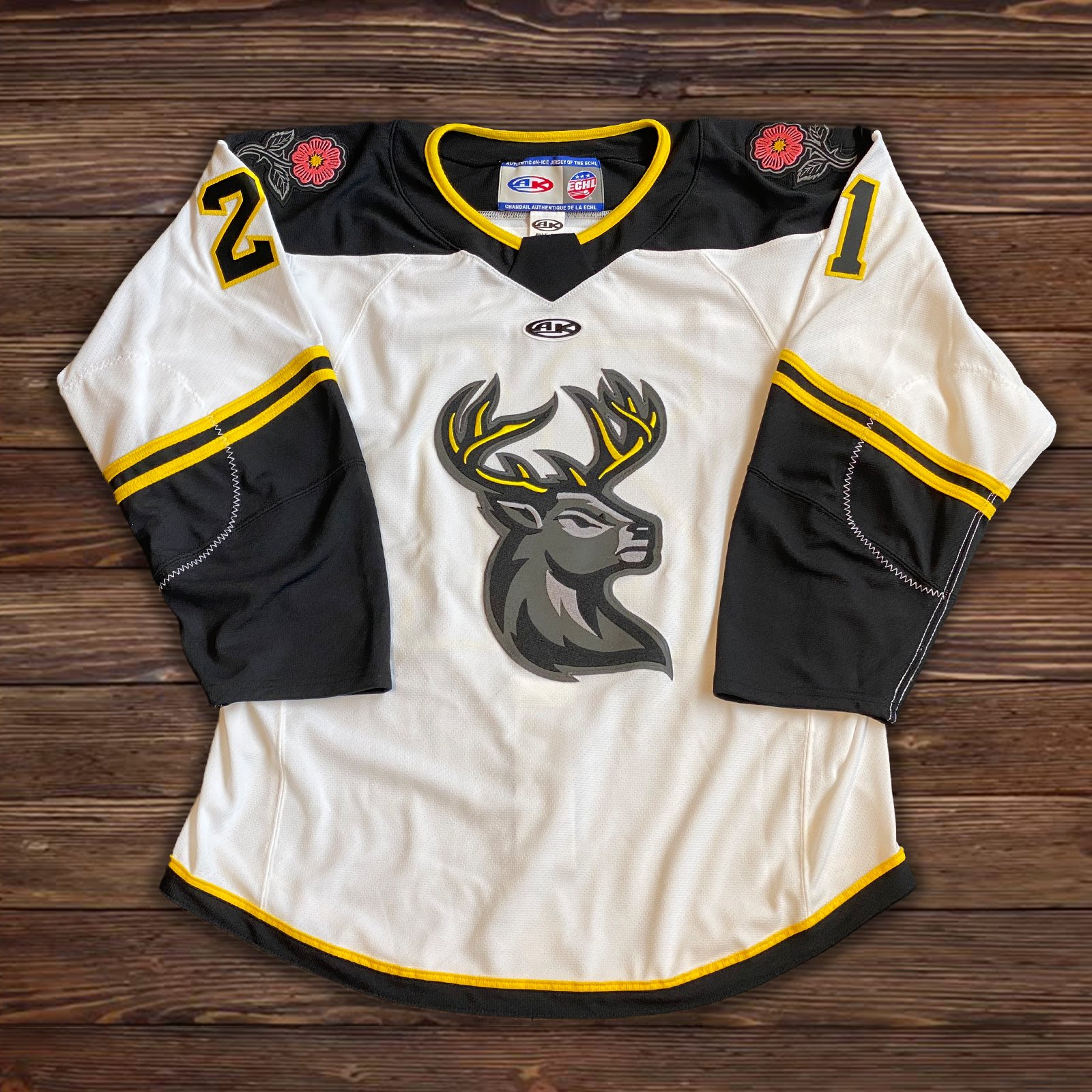 ECHL's Iowa Heartlanders Unveil New Uniforms – SportsLogos.Net News