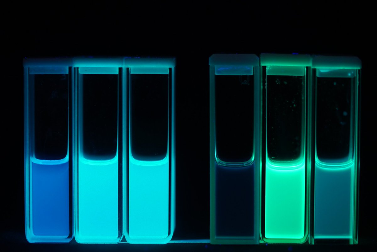 ZPageGroup's tweet photo. An exciting ⚡ #FluorescenceFriday as we capture some shots comparing three photocatalyst derivatives in two different solvents. Unsubstituted (left) vs. two optimized for improved organic solubility. #Chemistry #HookEm https://t.co/jVve8HZCVo