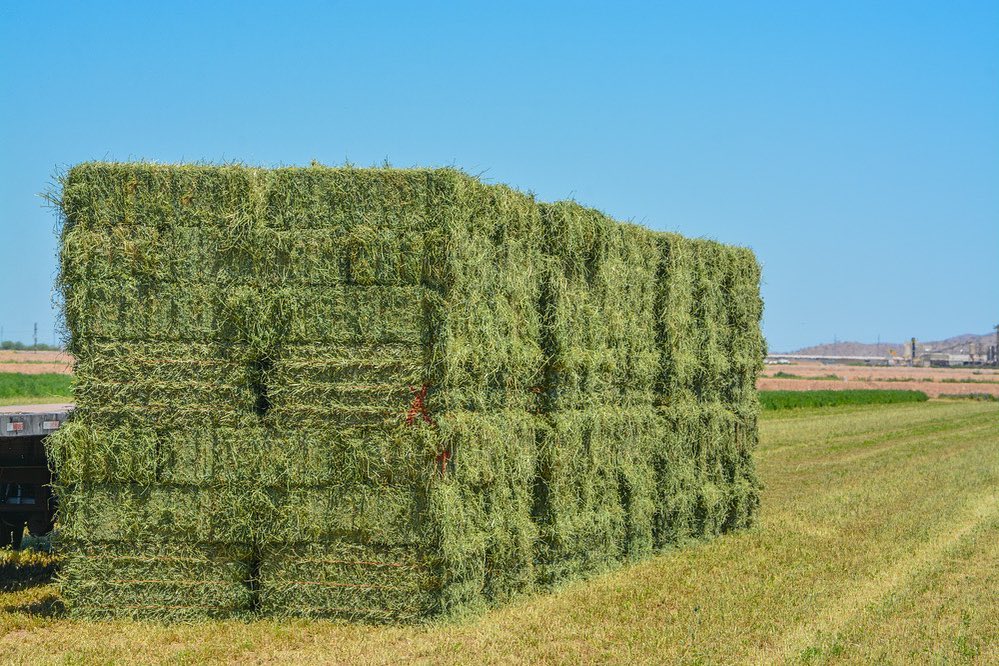 Yolo County Farm Bureau tweet media