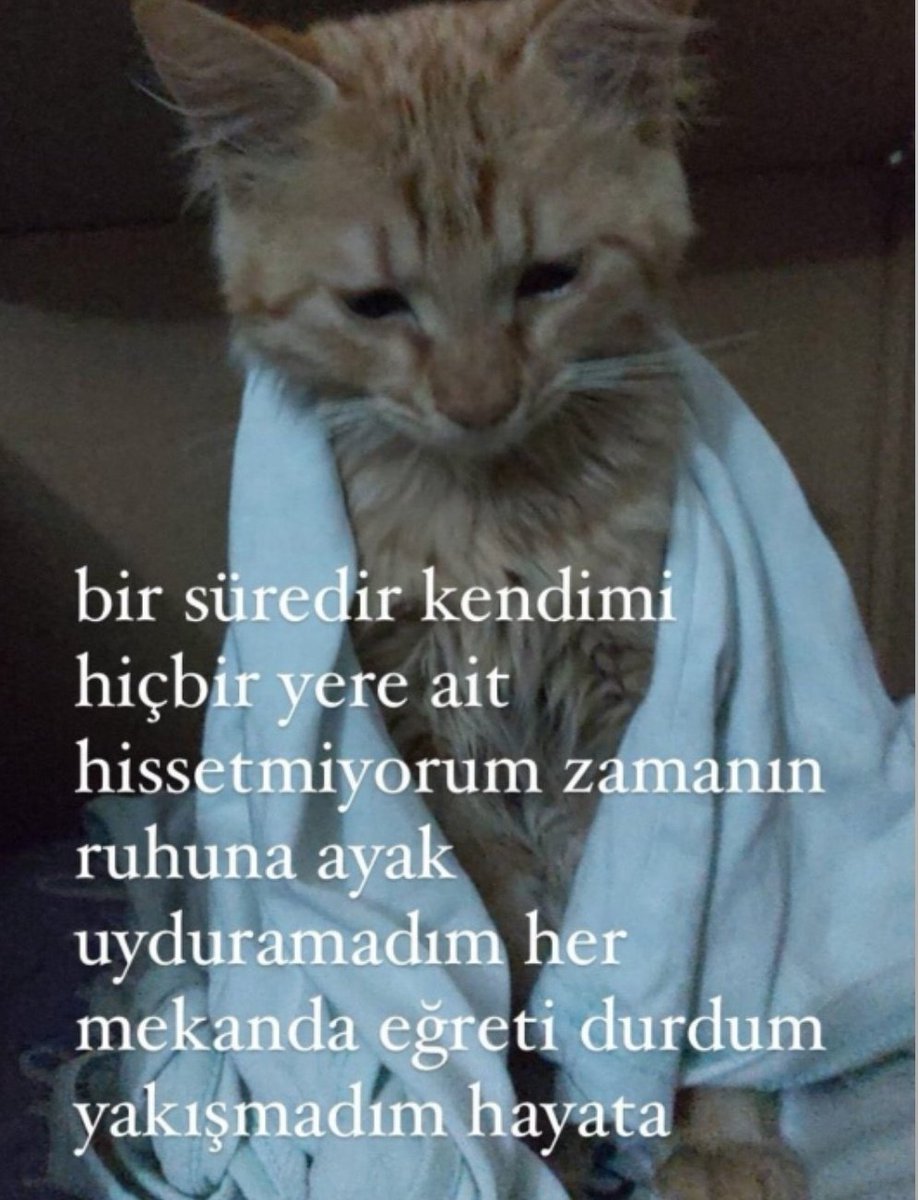 ANLIK (@anlikmod) on Twitter photo 