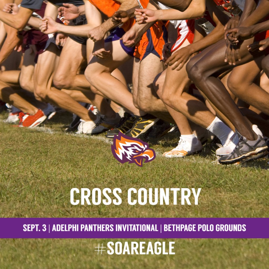 GoPostEagles tweet media