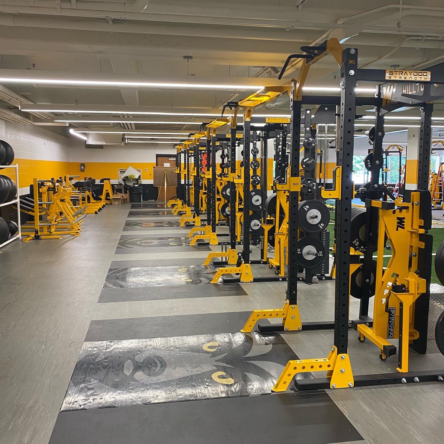 StrayDogStrength on Twitter: "New install @westlibertyu - Checkout our  showcase of West Liberty University's new install on our website  https://t.co/UecDYZ17Fy https://t.co/C3LidSwmGx" / Twitter