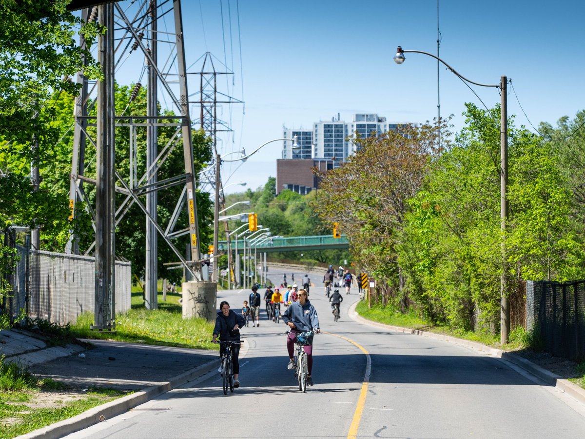 Cyclists riding down Bayview Ave.