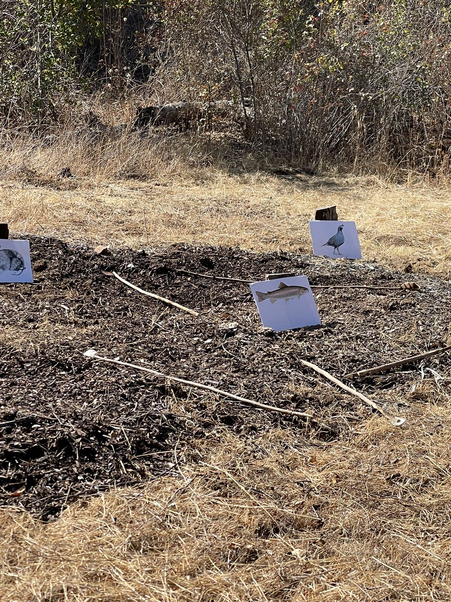 StephanieWilcoxHall tweet media