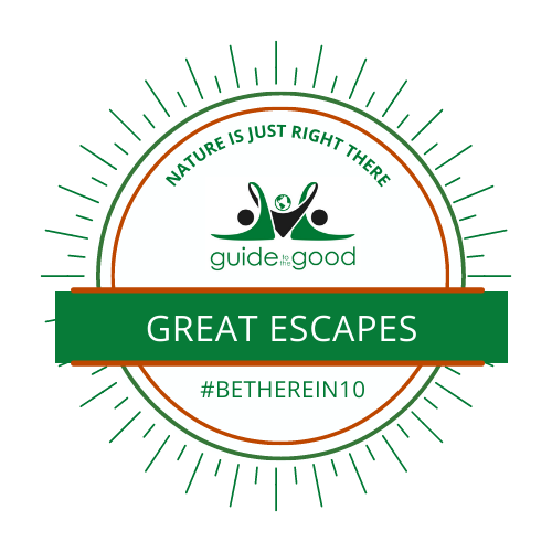 guide2good's tweet photo. #GreatEscapeYYT PREMIERE Wednesday - with
@MilsongWong
from the #guide2good
Tune in 9:30 Wednesday for
@guide2good at https://t.co/Ic4udO40sI
See the latest Great Escape YYT!
#BowringPark #PeterPanStatue #Swans #Willow #CityofStJohns #ThinkPlanetLiveLocal https://t.co/jmyYLW3OGj