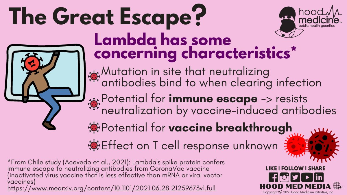 hood_medicine's tweet image. The #DeltaVariant is having its way with us, but #LambdaVariant and other Variants of Interest are being monitored now that they have been detected in the US. What are you doing to keep yourself and your loved ones safe?

#SaveTheHood
#GetVaccinatedAlready
#PutYourMaskBackOn
🦍