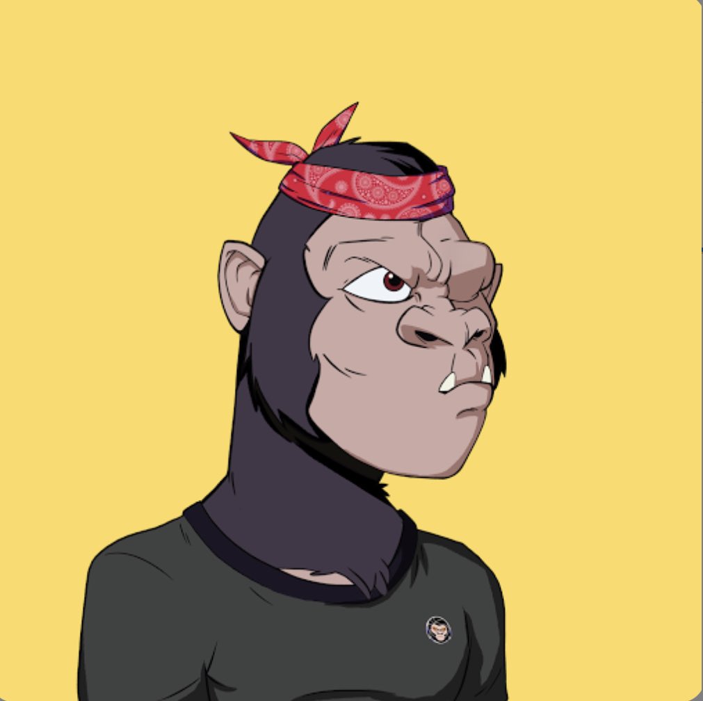 DΞΞMA || $FAME tweet media