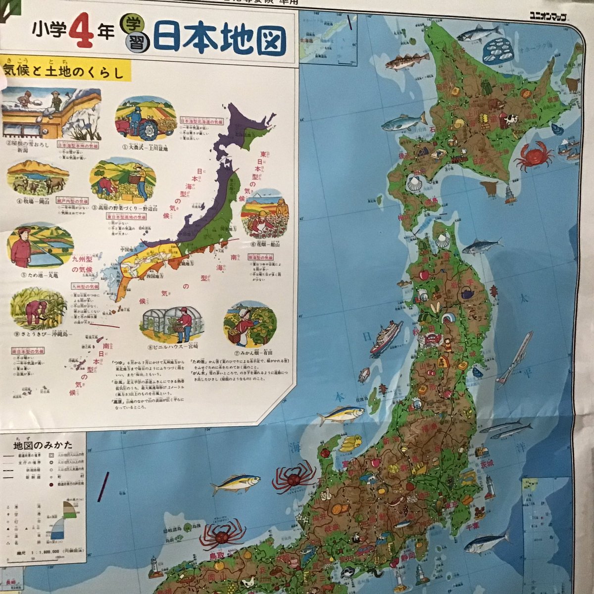 Amundsen High School Al Twitter 日本語は話せますか Nihongo Wa Hanasemasu Ka Do You Speak Japanese Ms Nakagawa Is Our New Japanese Teacher ありがとうございました Arigatōgozaimashita Thank You Jpncons Chicago T Co Rpsrl9hz5e
