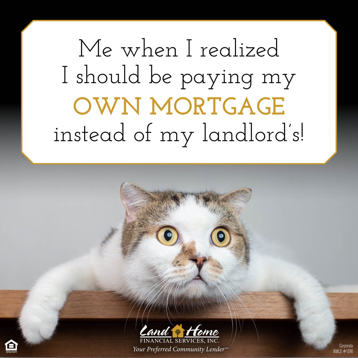 LandHomeFin's tweet photo. Happy Friday!
#LHFS #Mortgage #RealEstate #MortgageUpdate #HomeOwnership #CommunityLending #HomeLoans #BuyingAHome #Refinance https://t.co/1p4Ys13z09