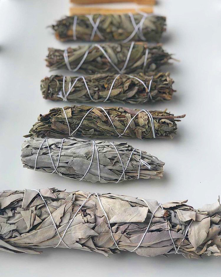 HealthyHealingg's tweet photo. Looking for a place that sells Sage &amp; Palo Santo? Look no further! #linkinbio #sage #palosanto 😌🌱✨ https://t.co/bqtzeLI5bH