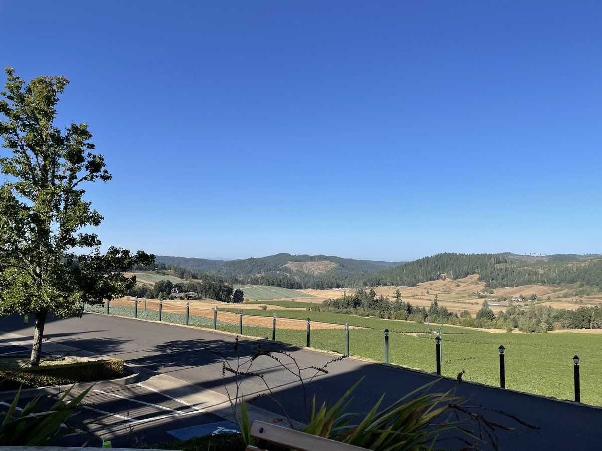 Three days, 5 towns, 120 miles and 6 amazing store visits. Too many great moments to share them all. Thanks <a href="/antosh_cole/">Antosh Cole</a> for bringing the joy! 💗 #SMRA #CentralPacific #WineCountry <a href="/dwhita01/">Dave Whitaker</a> <a href="/JohnStevens_/">John Stevens</a>