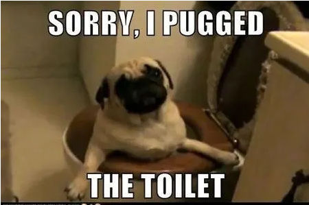 SepticMaxx's tweet image. 