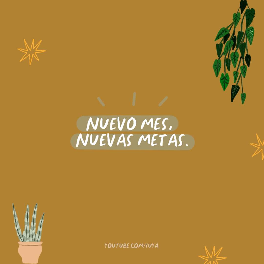 Sandra Glz Cárdenas tweet media