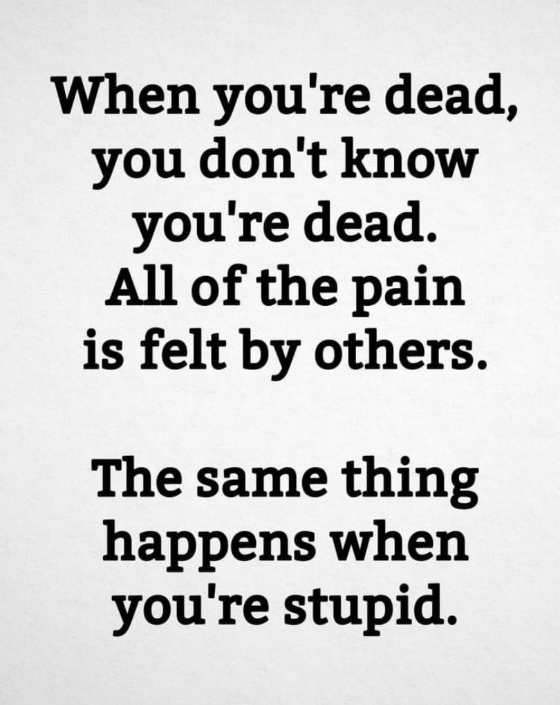 BottomShelfRT's tweet image. ￼