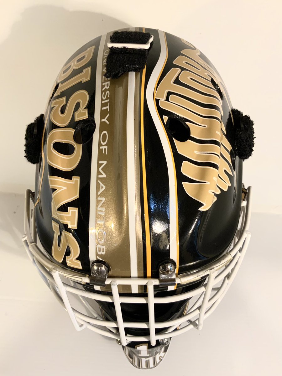 Huge thanks to Steve at shamlinink for the mask design, check him out for all types of designs!

shamlinink.ca
