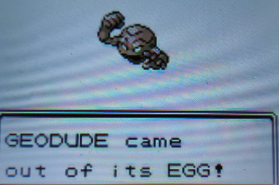 NightyGen's tweet photo. Finally I am back to my gen 2 eggs. All 3 games have been giving my hard time, but Gold broke the hatch drought and after 50 eggs I hatched Shiny Geodude. I prefer future gold nugget, but this colour matches its evolutions more. 

#shiny #shinypokemon #gen2 https://t.co/WTV7spAf8V