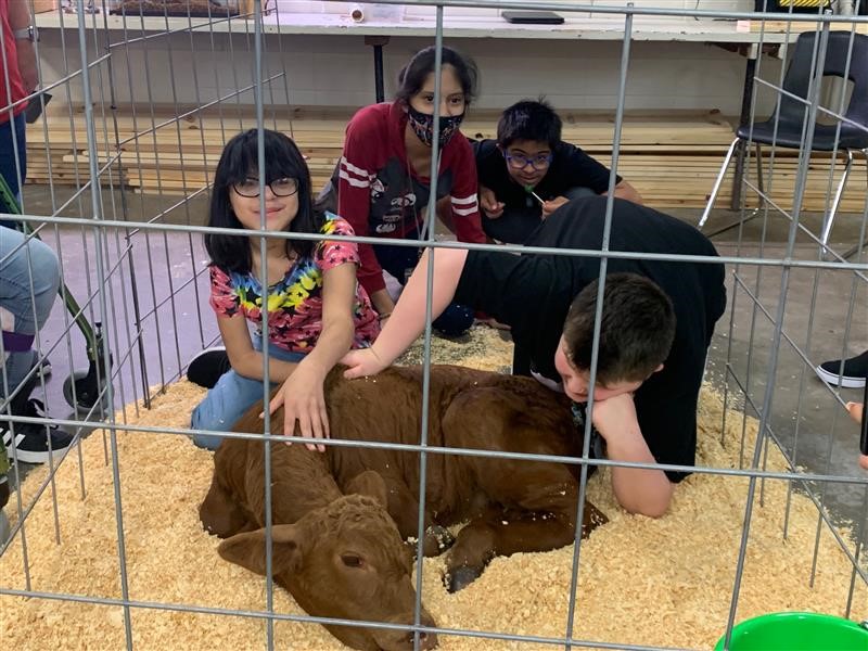 GJHRangers's tweet photo. Our sweet newest Ranger is making tons of friends today! @LamarCISDCTE https://t.co/Hujp9ffiP3