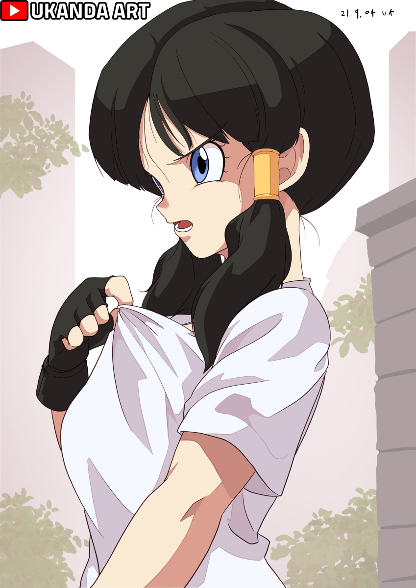 Ukanda ビーデル ドラゴンボールz ビーデル T Co Fb15thnq2p T Co Dpj8zuh2i8 Twitter