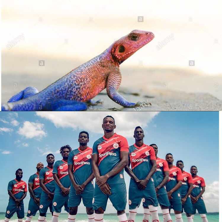 Songombingo3's tweet photo. @SimbaSCTanzania @kigogo2014 https://t.co/z5aLE5uJvW
