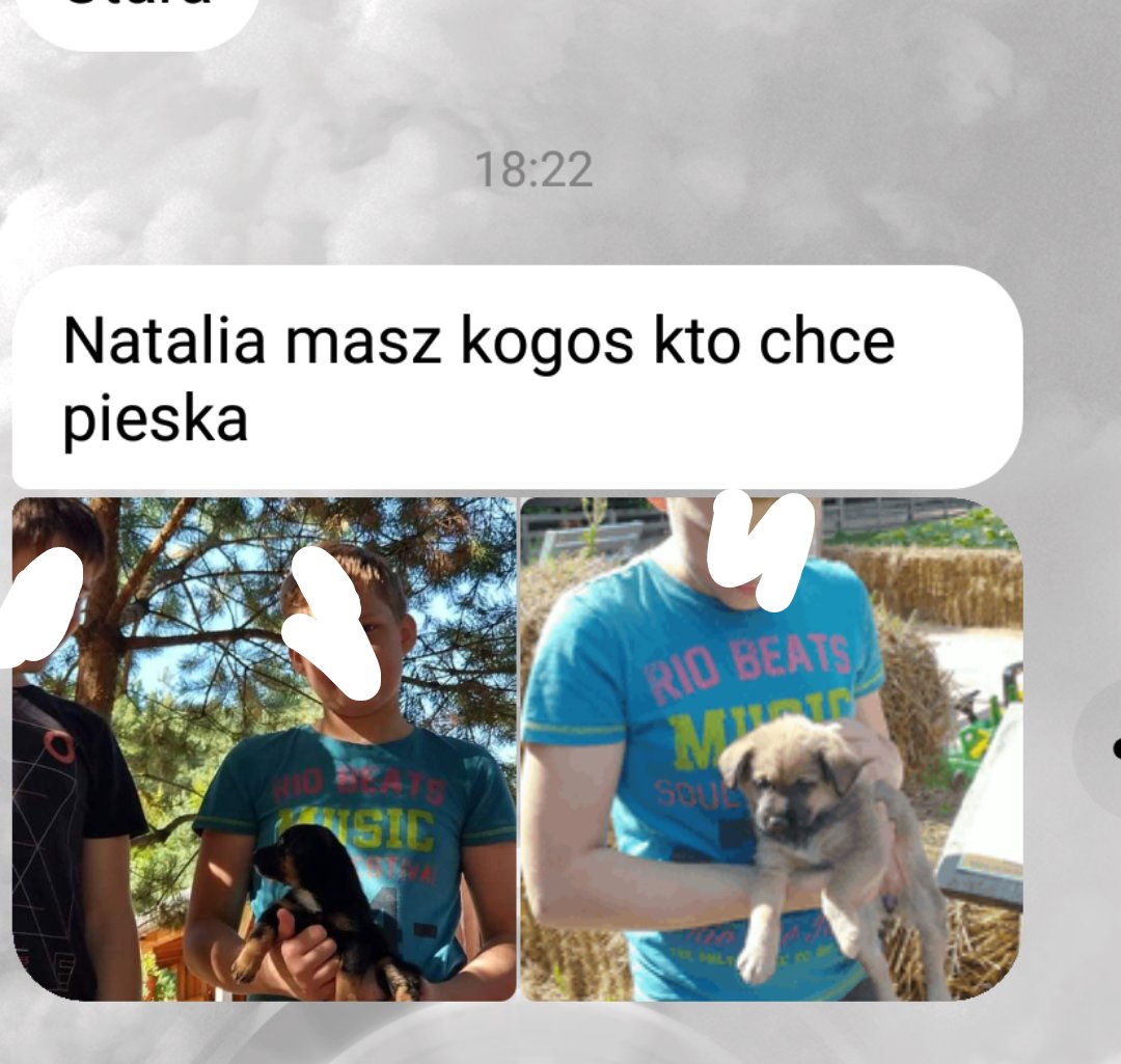 nochybaciecos's tweet photo. CZY KTOS Z GDANSKA CHCE PIESKA 
A JAK NIE CHCECIE TO PROSZE O RT!!!! https://t.co/serwVcQvcz