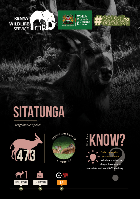 WRTIKenya's tweet photo. The National Government provided funding to facilitate a coordinated national wildlife census in all regions that harbour wildlife including protected areas, conservancies, private and community areas. @tunajibu @Min_TourismKE @kwskenya #CountToConserve https://t.co/sEHB3ZBOv1