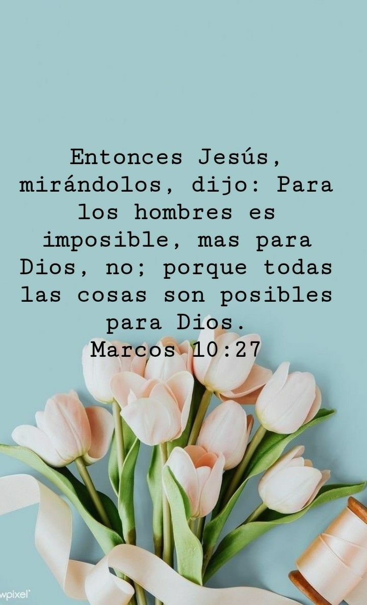 Brillanteidea's tweet photo. Amén. https://t.co/X14blmglNX