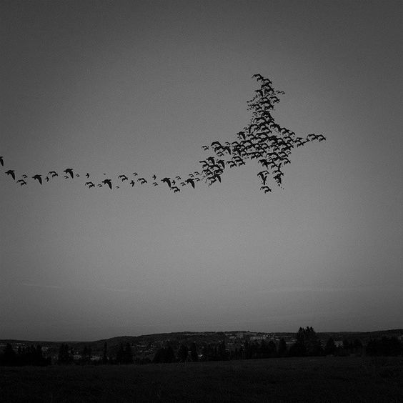 "Birds flying high, you know how I feel" pinterest.com/pin/4569043247…