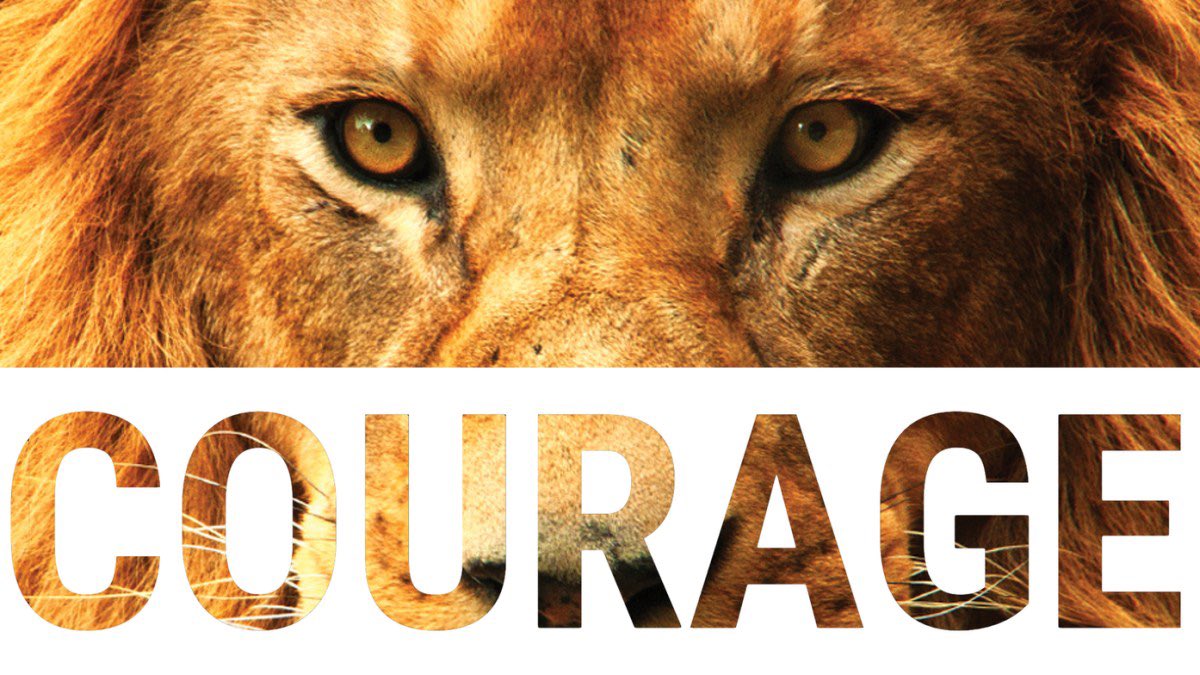 BPPrincipalVT's tweet photo. At CMS Term #1 will be built around the theme of: COURAGE. #SEL time to build capacity and understanding!  #StudentSupport #BuildingStrongMinds @AP_Rogalski_CMS @cms_grizzlies @UnlockTheMiddle #Courage 💪✅✅💪 https://t.co/4U7GwBTNZs