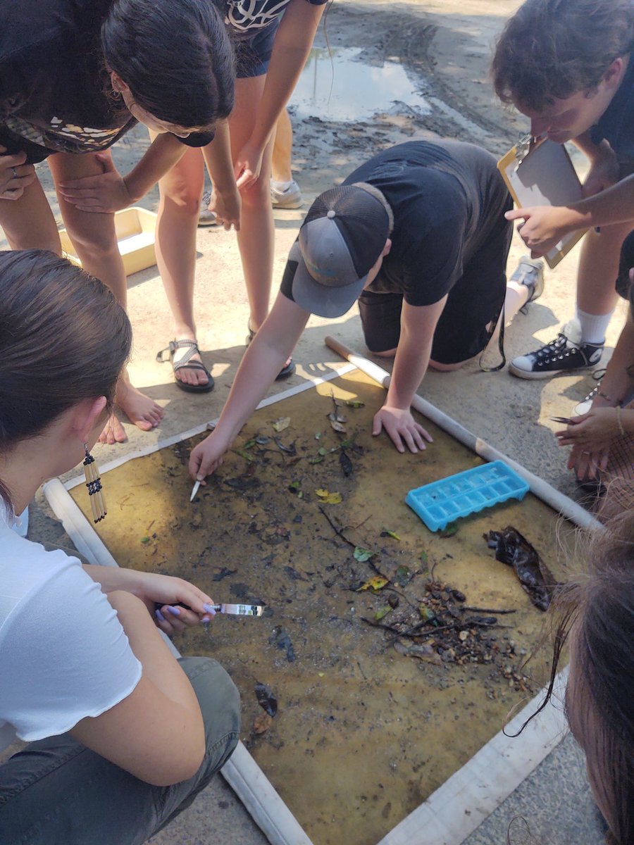 LPatchBHS's tweet photo. AP Environmental class studying water quality of Nicholson Creek @BrevardHS #inmyclassroom #tcsyes https://t.co/SEyPe8fZvC