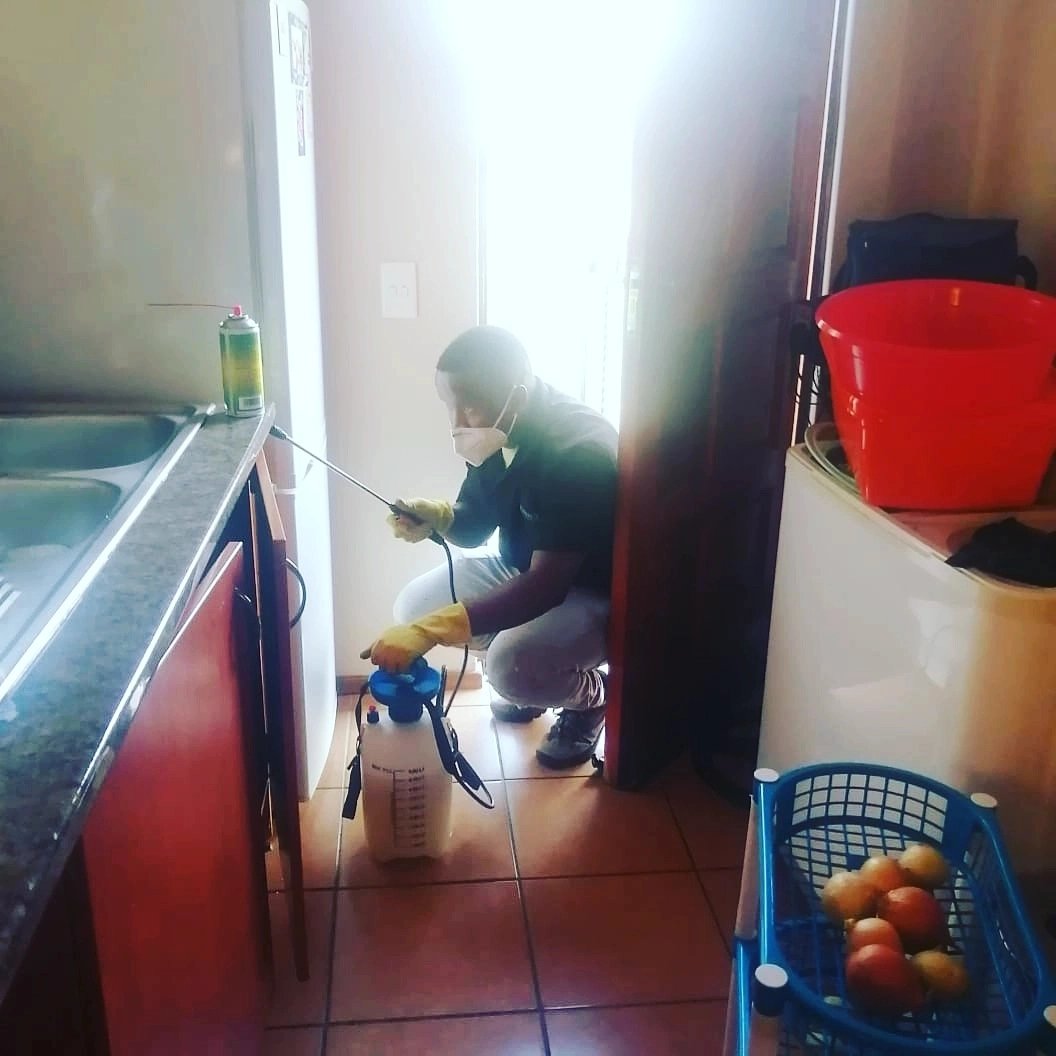 STEPIN PEST CONTROL & HYGIENE SERVICES on Twitter "We provide quick