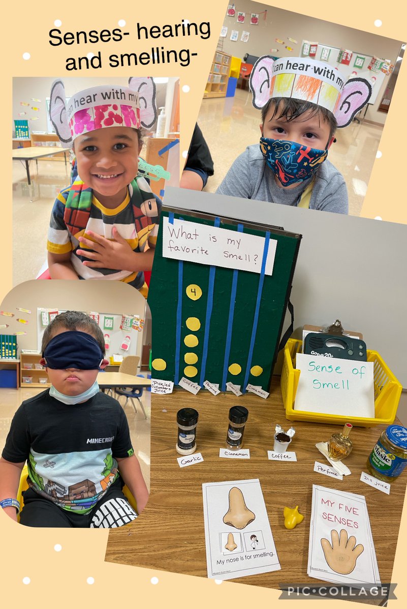 Angie Anshel tweet media