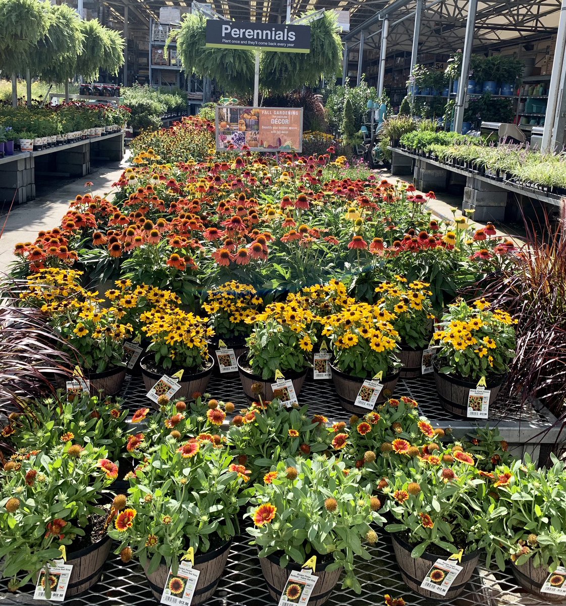 shanecombscobb's tweet photo. Almost Fall, ya'll and we're ready for it at #HD3608 Wendover! 
🍁 🎃 🌼 ❤️
@pps_s_atlantic @JarrettBennett3 @PPSinHD https://t.co/uFh9nlxsQo