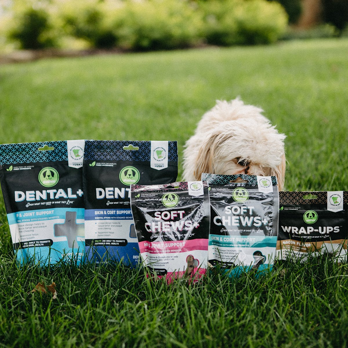 StashiosP's tweet photo. Our products are stashed with the world's finest natural ingredients and made with love in Minnesota π Feel good giving your dog a treat they'll love! Learn more -> https://t.co/psGnBQkypK #stashios #dogs #doglover #dogtreat #doghealth #pets #pethealth #mndog #minnesota https://t.co/70I1xFyjUl