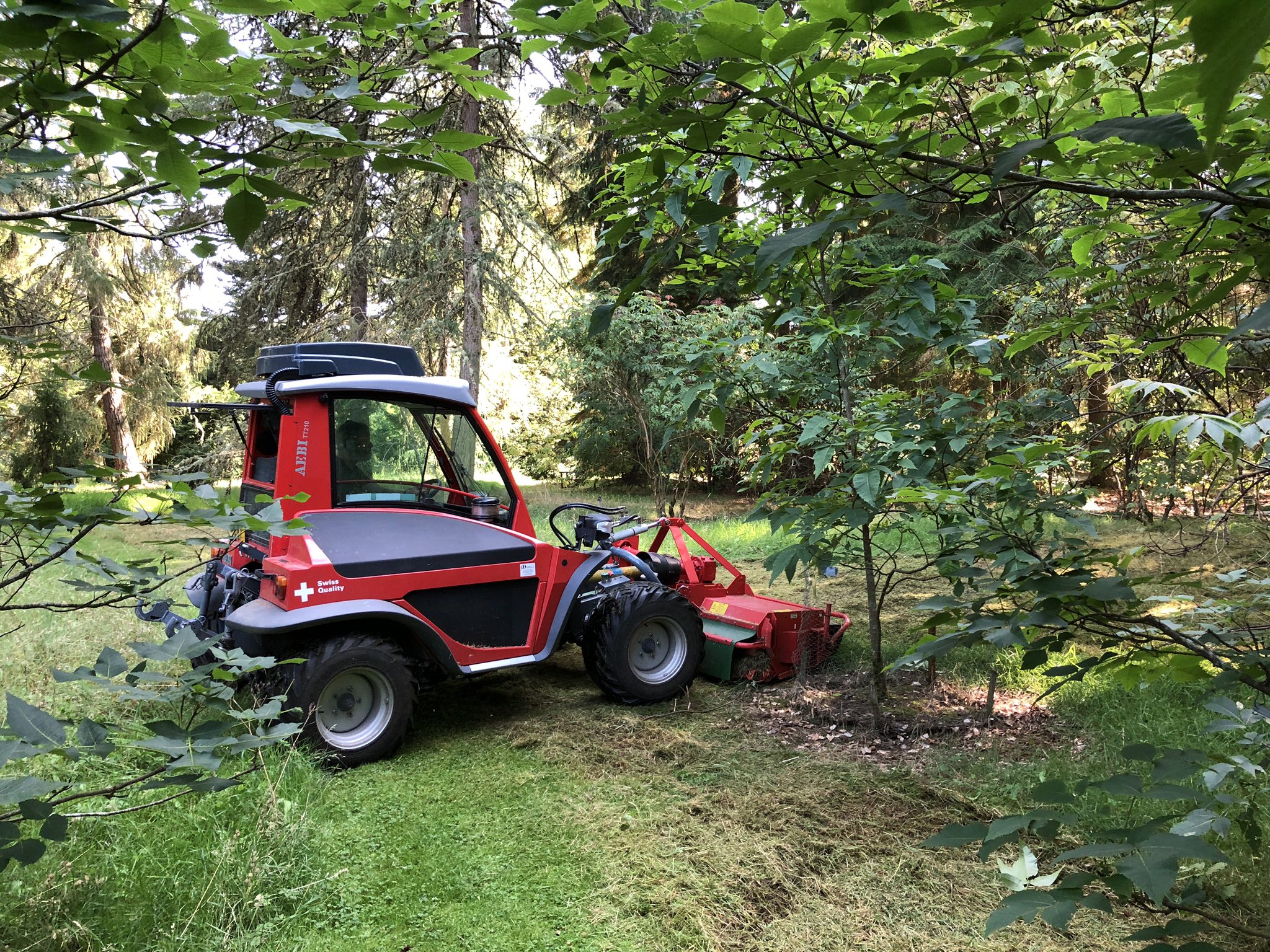 Aebi mower sale