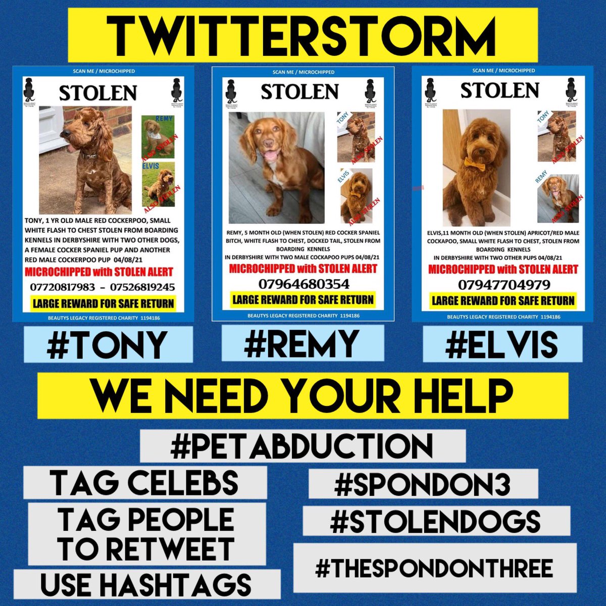 Help us create a #Twitterstorm share any and all of our posts about #thespondonthree Use the hashtags, tag everyone & let’s keep our dogs in the public eye & too hot to handle! #Spondon3 #yappyeverafter #burglary #PetAbduction #elvis #Tony #Remy #stolendogs