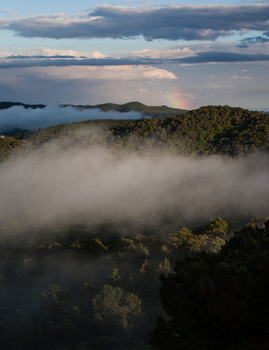 EstudiFGH's tweet photo. #Fog and #Raibow.

#Landscape #Gavarres #Photography #Freelancer #EstudiFGH https://t.co/VmzHzk6iZq