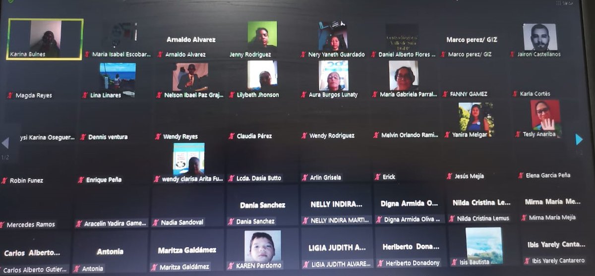 GizHonduras's tweet photo. Más de 100 docentes de la zona noroccidente continúan fortaleciendo sus conocimientos en el curso virtual sobre Cambio Climático y Educación Sustentable organizado entre #APRODE la #SEDUC a través de la #DGDP y #PROCAMBIO https://t.co/0J6c3TdXmt