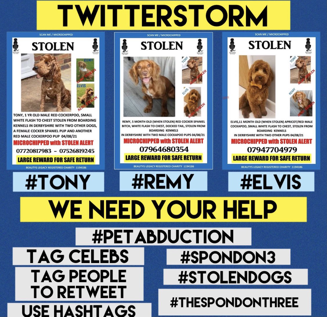 #spondon3 #stolendogs #thespondonthree #PetAbduction #tony #remy #elvis