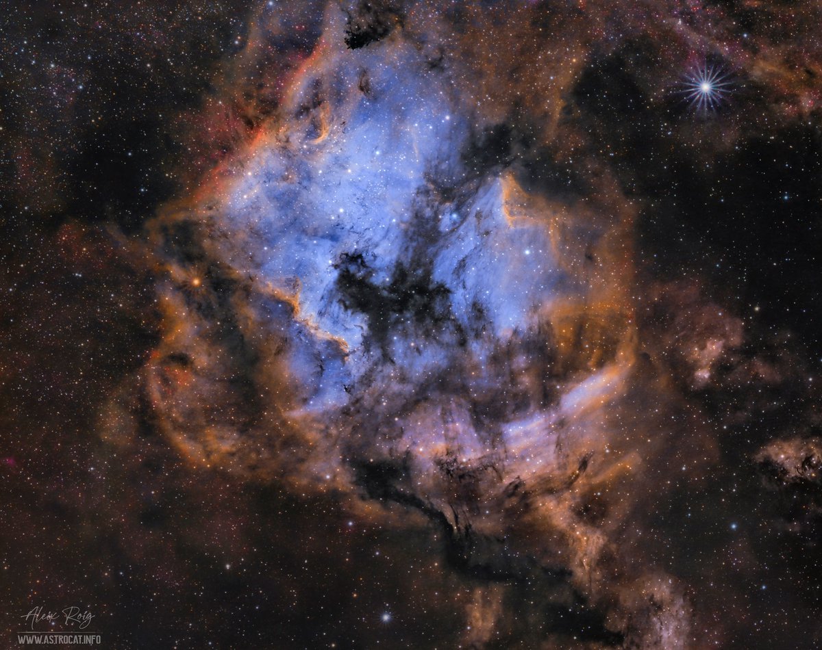 Deneb, North America &amp; Pelican Nebulae ✨

Highlights of a ➕170h 📷