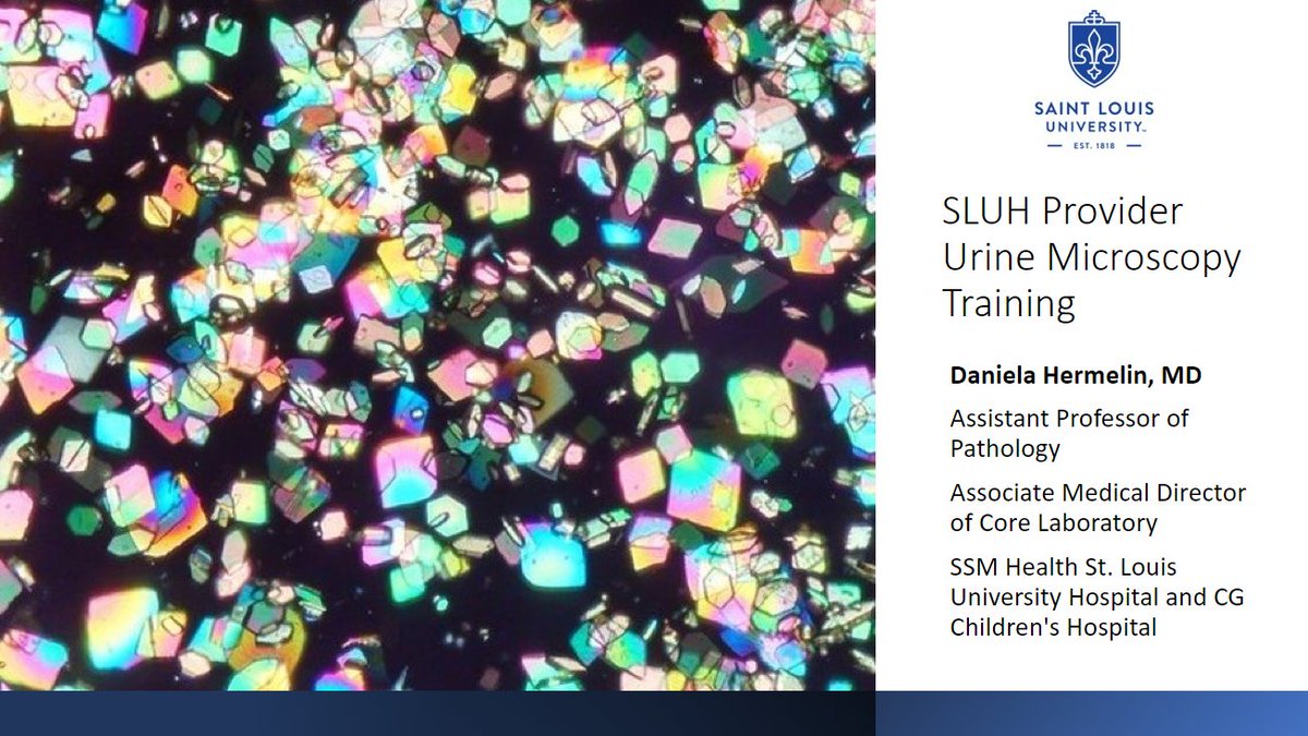 👋🏽<a href="/slunephrons/">SLU Nephrons</a>!
Thank you for attending today’s provider urine microscopy session designed for incoming first year Nephrology Fellows. Let’s recap on a few items you learned today. 👇🏽Follow the #Tweetorial below.