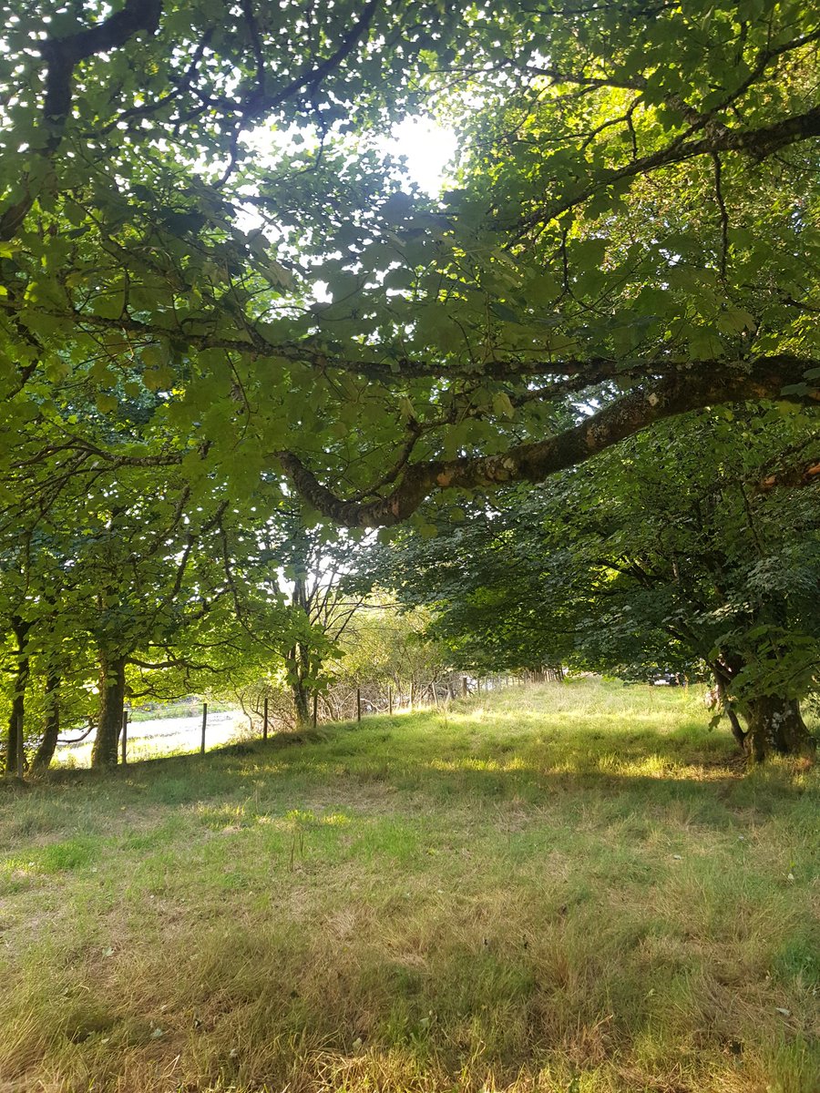 Dick Jones (@dickjon02806048) on Twitter photo 💥Only a few dates available in October at #felinfawrlodges Dont miss out, great weather for a riverside walk💥 <a href="/pip_says/">Portia Jones</a> @SallyCwrites <a href="/officialKeef/">Keith Richards</a> <a href="/_SeanHolley/">Sean Holley 🎤📺🏉📝🎥🏌🏻♂️</a> <a href="/tootsbootsuk/">tootsboots</a> <a href="/carolvorders/">Carol Vorderman</a> <a href="/LeeJarvis10/">𝐋𝐞𝐞 𝐉𝐚𝐫𝐯𝐢𝐬</a> <a href="/byrney_15/">Lee Byrne</a> <a href="/ShaneWilliams11/">Shane Williams</a> 💥Only a few dates available in October at #felinfawrlodges Dont miss out, great weather for a riverside walk💥 <a href="/pip_says/">Portia Jones</a> @SallyCwrites <a href="/officialKeef/">Keith Richards</a> <a href="/_SeanHolley/">Sean Holley 🎤📺🏉📝🎥🏌🏻♂️</a> <a href="/tootsbootsuk/">tootsboots</a> <a href="/carolvorders/">Carol Vorderman</a> <a href="/LeeJarvis10/">𝐋𝐞𝐞 𝐉𝐚𝐫𝐯𝐢𝐬</a> <a href="/byrney_15/">Lee Byrne</a> <a href="/ShaneWilliams11/">Shane Williams</a>