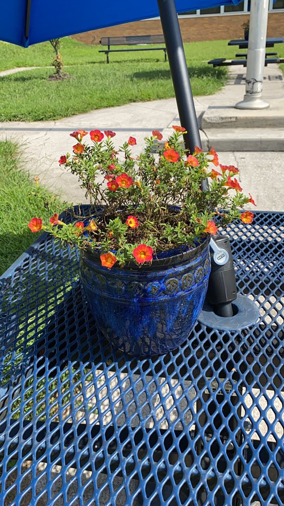 The best part about my schools? The space they give me to work out of their buildings so I can be available. Ending my week <a href="/Whittle_Springs/">Whittle Springs MS</a> had me laughing, creating plans for kids, and able to watch amazing case managers in action.