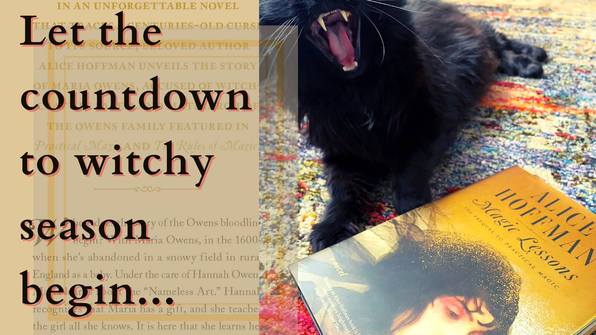 SimonBooks's tweet photo. @ahoffmanwriter's #MAGICLESSONS is out in paperback on 9/7-- just in time for witchy season! ๐ ๐ซ ๐
https://t.co/GWrYVn3pDc https://t.co/xNSY9Qvy84