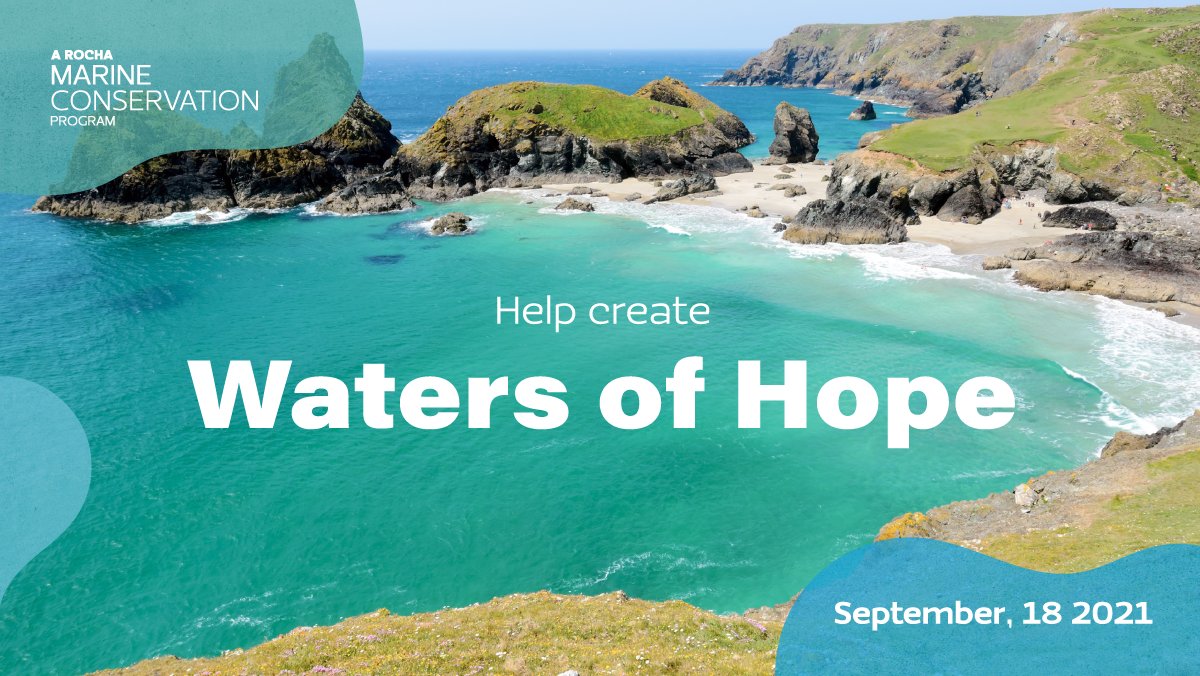 ARochaUSA's tweet photo. Join #ARochaMarine for the @OurOcean annual #InternationalCoastalCleanup on September 18 (or any day this month)! Take part in a local cleanup or organize your own, recording your litter using the #CleanSwell app. 

Read more: https://t.co/fxPlX7XsNh

Tag us in 📸 https://t.co/oPXFztx7NO